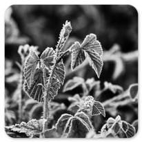 Gefühlt in tiefstem Winter vor Auritz/Burguette