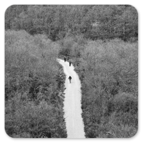 In den Montes de Oca