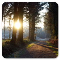 Sonnenaufgang am Camino Ingles