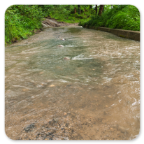 Das Wetter hätte besser sein können.