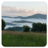 Frühnebel in Galicien
