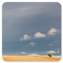 Stille auf der Meseta