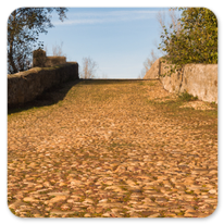 Brücke über den Rio Orbigo